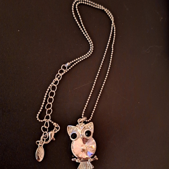 Silver Tone And Gemstone Owl Necklace - Picture 2 of 2